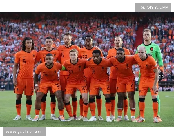 维利亚足球明星的辉煌历程与对足球界的深远影响分析